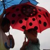 なぜ、子どもは傘を持っているのに傘をささないのだろう