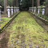 雨上がりの散歩道　〜「源氏物語」瀬戸内寂聴訳その4