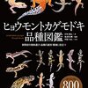 ヒョウモントカゲモドキの品種写真800点公開図鑑