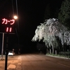飛騨高山郊外で夜桜見物