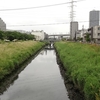 2020年5月18日（月）くもり、昼前から小雨。明日にかけて雨が強まるところもあるという予報。