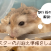 ハムスターのお迎え準備で必要なものは？飼う前の注意点も解説