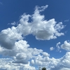 私の生きづらさや不安の根本とは？