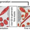 BoxNet: Deep Learning Based Biomedical Image Segmentation Using Boxes Only Annotation