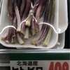 "キトビロ"の季節がやってきた"行者ニンニク" "アイヌネギ"