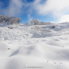 432 PHOTO No.2  暖冬なので雪景色を…