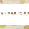 白い紫陽花【仲夏の俳句】