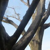 どう呼ぶの？／月下の貧乏人・75