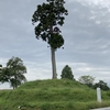 角塚古墳の主は物部氏の公算が大きい。物部氏は畿内（京都方面）から陸奥へ進出