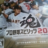 プロ野球スピリッツ2015