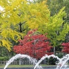 維新公園秋模様
