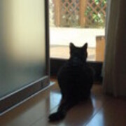 君だけに輝く わたしごと 真柴ひろみ 君だけに輝く わたしごと 真柴ひろみ