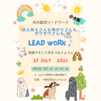 2025年夏　リードワークワークショップのお知らせ
