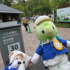 #上野動物園#パンダのもり