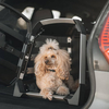 THULEが考える大切な家族を安全に移動するための提案　犬用クレート