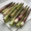 根曲がり竹の季節到来！今年もフリマアプリで購入しました