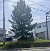 日光御成道をランニング〜その2【浦和大門宿から幸手宿】