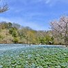 ガン細胞は低体温が大好き！