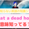 意外と知らない「beat a dead horse」の意味知ってる？　