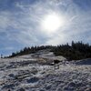 会津駒ヶ岳から御池・尾瀬ヶ原（滝沢登山口→会津駒ヶ岳→中門岳→大津岐峠→尾瀬御池→見晴）