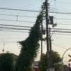 水無月から文月へ