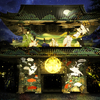 徳川家ゆかりの夜間特別拝観！徳川将軍家菩提寺 成道山大樹寺デジタルアートナイト2025