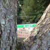 第37回社会福祉士試験まであと2週間だけれども、合格できる自信を持てなかったら。
