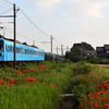 近江鉄道 2024　10/1-2