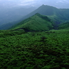 山に登る