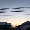 2021年2月22日 月曜日 大安