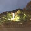 鹿児島～２．夜の天文館等