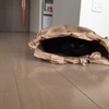 ねこと紙ぶくろ。