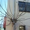 撮って〜撮られて〜