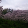 花見イン西山公園