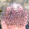 命の生まれる季節。
