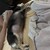 まろにー4376日目