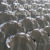  Quantec / 1000 Vacuum Tubes