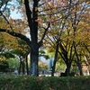 天神中央公園は憩いの場です