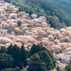 一番美しい季節に行きたい季節別奈良県の絶景スポット15選