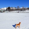 激動の一週間（気温の巻）