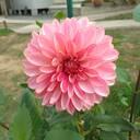 私らしく、こころと暮らしを整えるノート