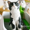 リーメント うちの自慢のにゃんこ【Little Cats, Big Personalities】