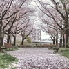 雨続きのせいだろうか…。