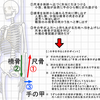 筋膜リリースをする人の手さばきは、一般的な手を使う意識とは違っている？！　施術でも必須な手の内のつくりかた