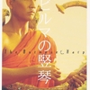 🎬　ビルマの竪琴