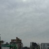 今日も25℃まで気温が上がった