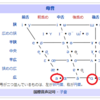 「中国語の発音の話をする会」無事終了　～中国語発音を少しでも上手くするには～