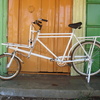 FAST Boy CYCLES Marci's Nose Bike かごが最初から付いている自転車で一番カッコいい自転車