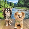 ★小次郎くん＆大吉くん★