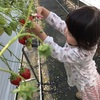 飯塚から行くイチゴ狩り🍓の1dayプラン♪〜ちびっこママ向け〜